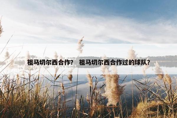 祖马切尔西合作？ 祖马切尔西合作过的球队？