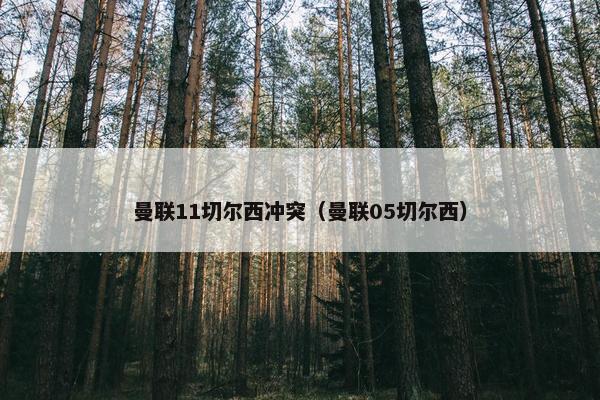 曼联11切尔西冲突（曼联05切尔西）