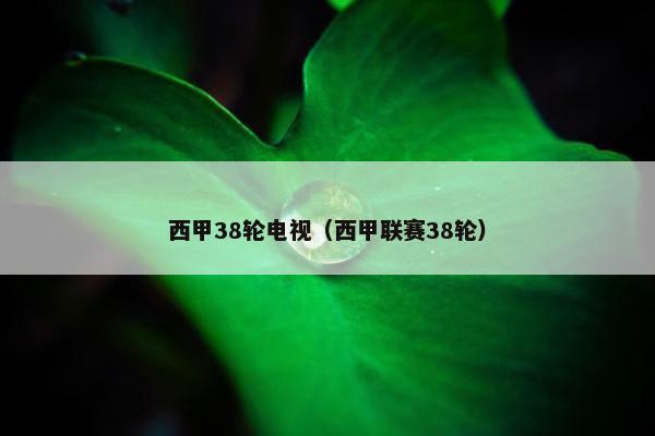 西甲38轮电视（西甲联赛38轮）