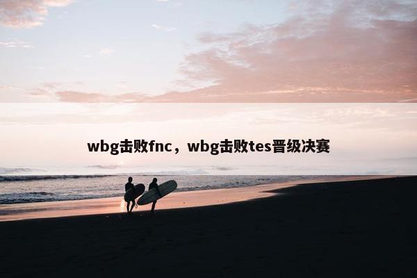 wbg击败fnc，wbg击败tes晋级决赛
