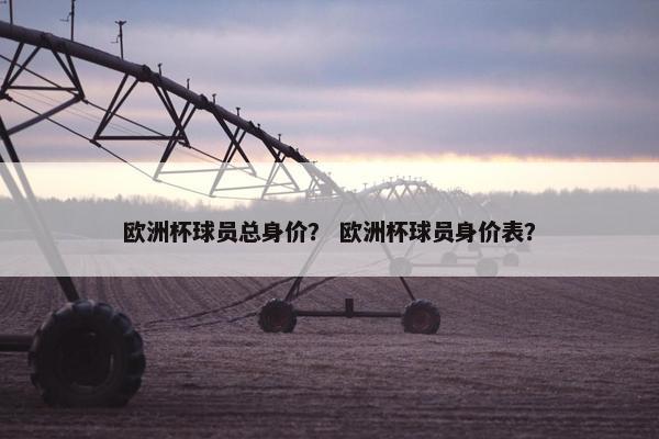 欧洲杯球员总身价？ 欧洲杯球员身价表？