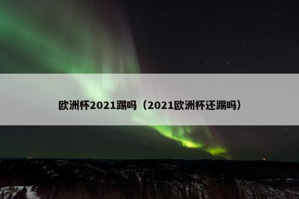欧洲杯2021踢吗（2021欧洲杯还踢吗）