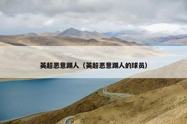 英超恶意踢人（英超恶意踢人的球员）