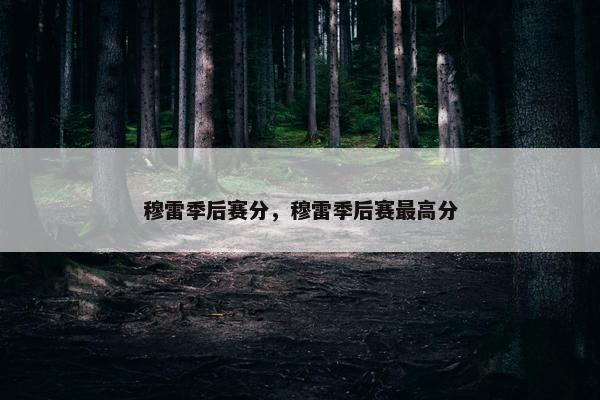 穆雷季后赛分，穆雷季后赛最高分