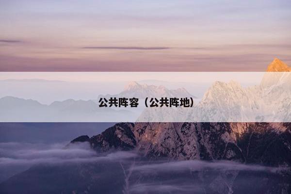 公共阵容（公共阵地）