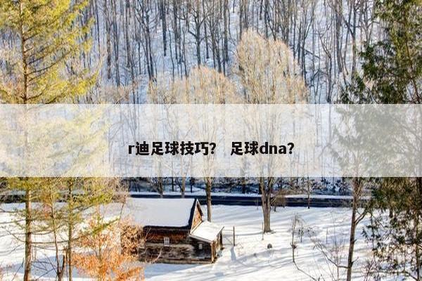 r迪足球技巧？ 足球dna？