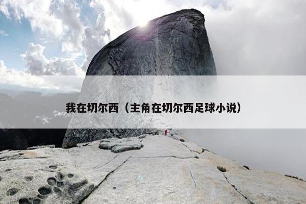 我在切尔西（主角在切尔西足球小说）