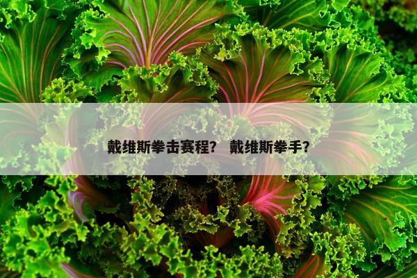 戴维斯拳击赛程？ 戴维斯拳手？