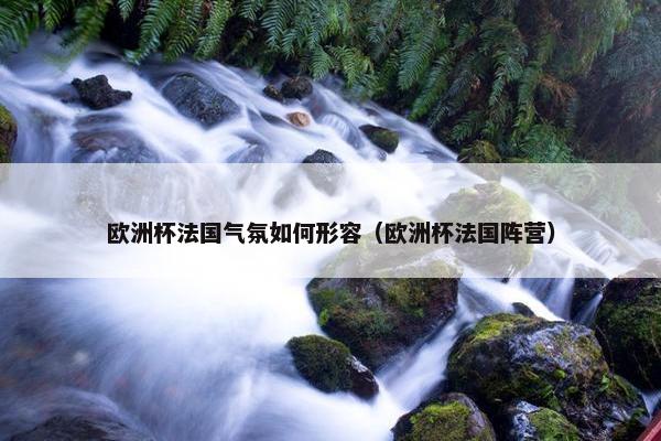 欧洲杯法国气氛如何形容（欧洲杯法国阵营）