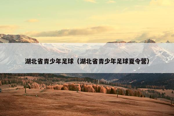 湖北省青少年足球（湖北省青少年足球夏令营）