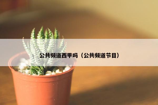 公共频道西甲吗（公共频道节目）