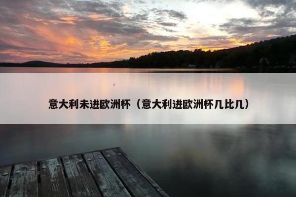 意大利未进欧洲杯（意大利进欧洲杯几比几）