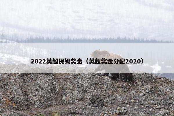2022英超保级奖金（英超奖金分配2020）