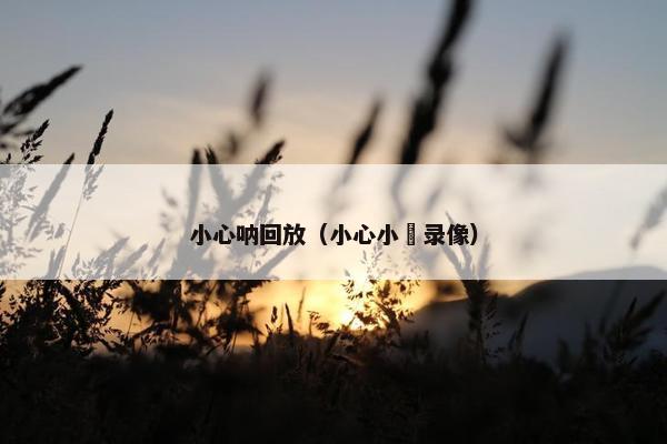 小心呐回放（小心小訫录像）
