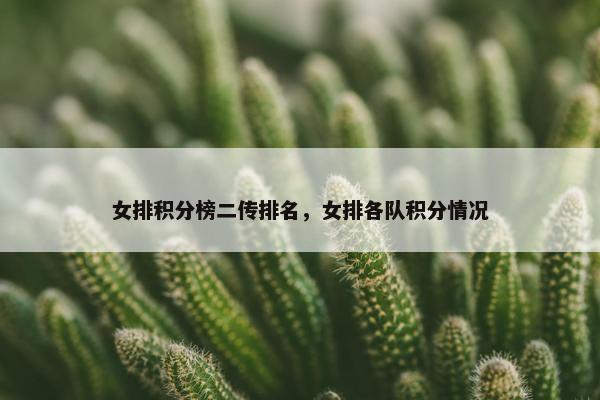 女排积分榜二传排名，女排各队积分情况