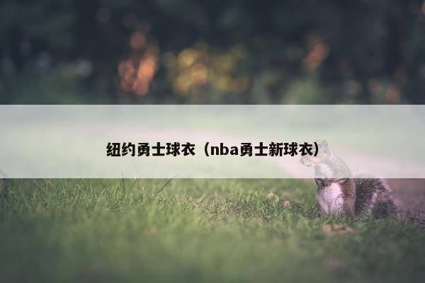 纽约勇士球衣（nba勇士新球衣）