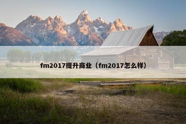 fm2017提升商业（fm2017怎么样）
