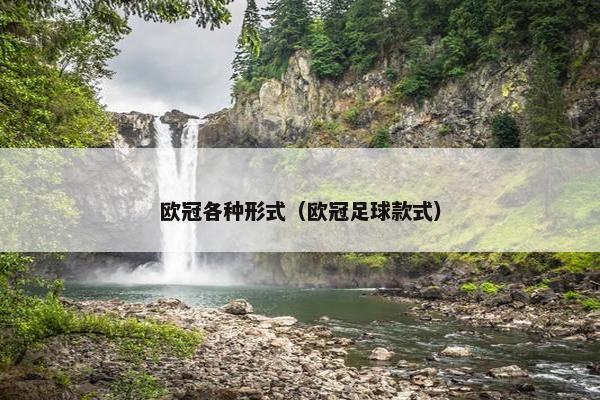 欧冠各种形式（欧冠足球款式）