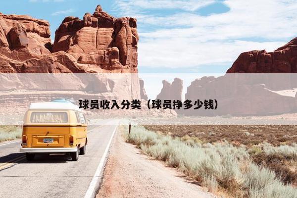 球员收入分类（球员挣多少钱）