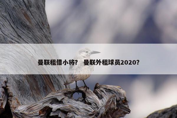 曼联租借小将？ 曼联外租球员2020？