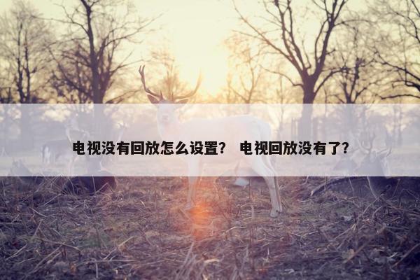 电视没有回放怎么设置？ 电视回放没有了？