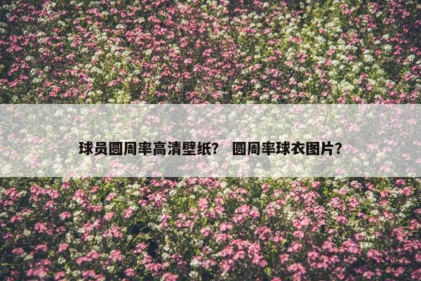 球员圆周率高清壁纸？ 圆周率球衣图片？
