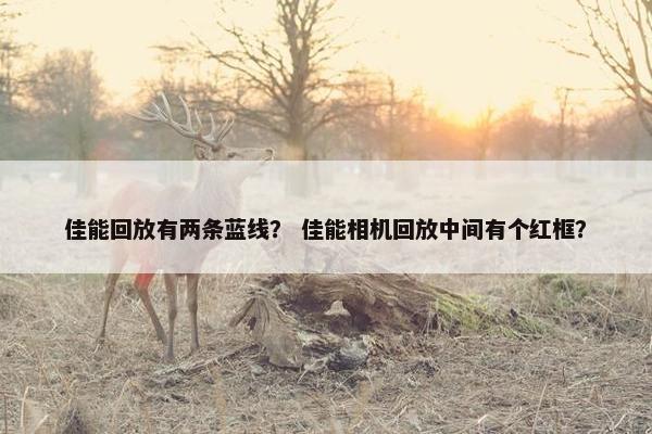 佳能回放有两条蓝线？ 佳能相机回放中间有个红框？