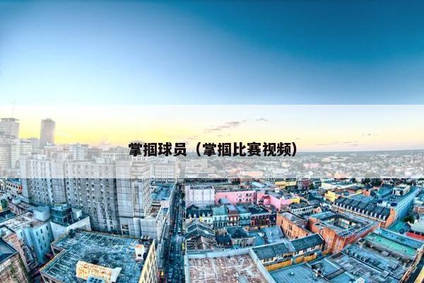 掌掴球员（掌掴比赛视频）