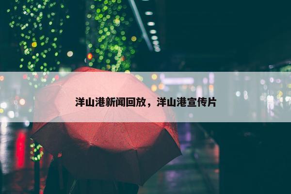 洋山港新闻回放，洋山港宣传片