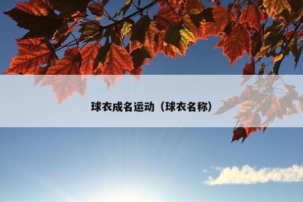 球衣成名运动（球衣名称）