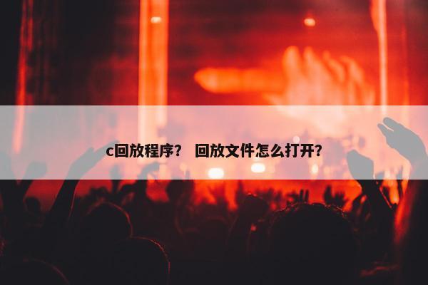 c回放程序？ 回放文件怎么打开？