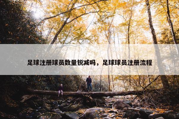 足球注册球员数量锐减吗，足球球员注册流程