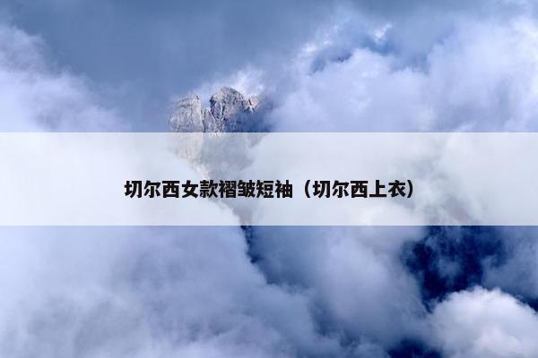 切尔西女款褶皱短袖（切尔西上衣）