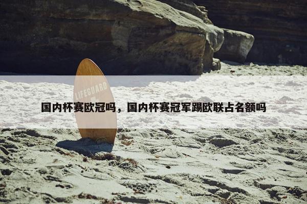 国内杯赛欧冠吗，国内杯赛冠军踢欧联占名额吗