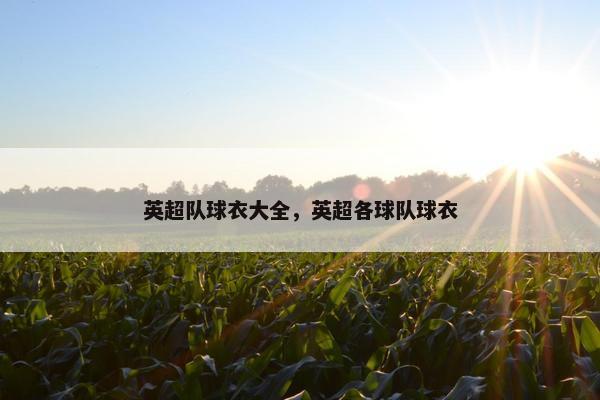 英超队球衣大全，英超各球队球衣