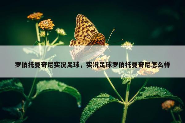 罗伯托曼奇尼实况足球，实况足球罗伯托曼奇尼怎么样