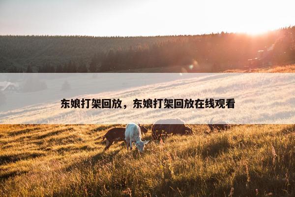 东娘打架回放，东娘打架回放在线观看