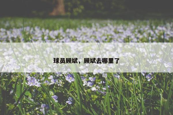 球员顾斌，顾斌去哪里了