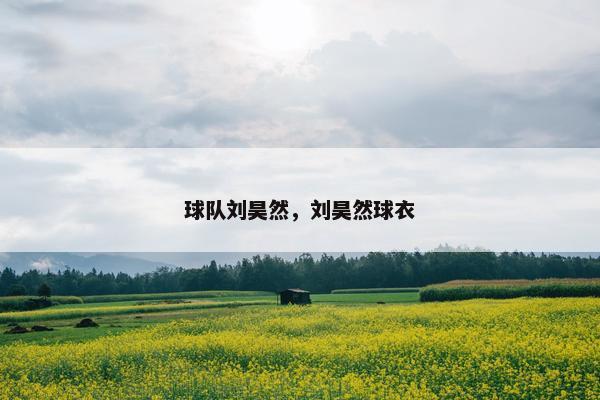 球队刘昊然，刘昊然球衣