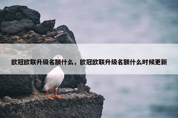 欧冠欧联升级名额什么，欧冠欧联升级名额什么时候更新