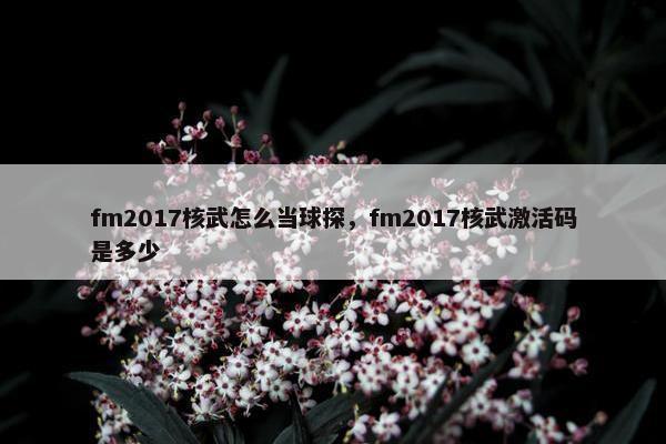 fm2017核武怎么当球探，fm2017核武激活码是多少
