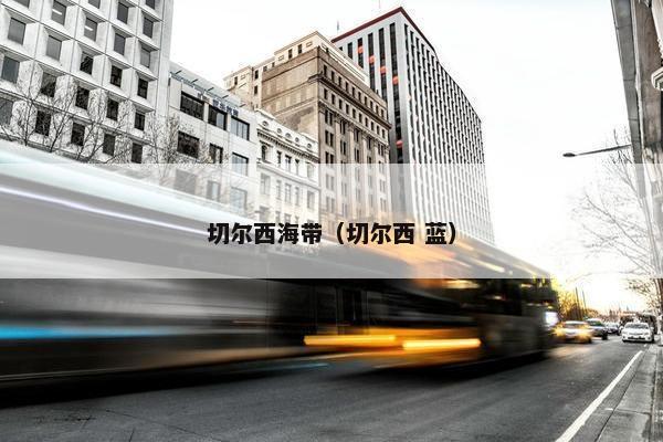 切尔西海带（切尔西 蓝）