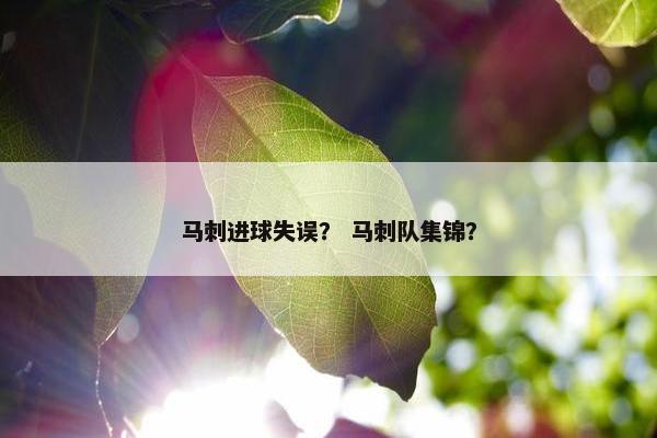 马刺进球失误？ 马刺队集锦？