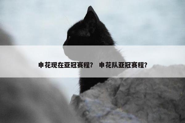 申花现在亚冠赛程？ 申花队亚冠赛程？