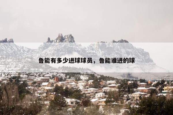 鲁能有多少进球球员，鲁能谁进的球
