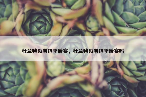 杜兰特没有进季后赛，杜兰特没有进季后赛吗
