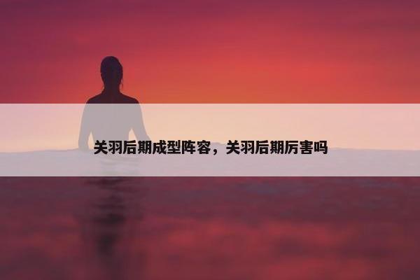 关羽后期成型阵容，关羽后期厉害吗