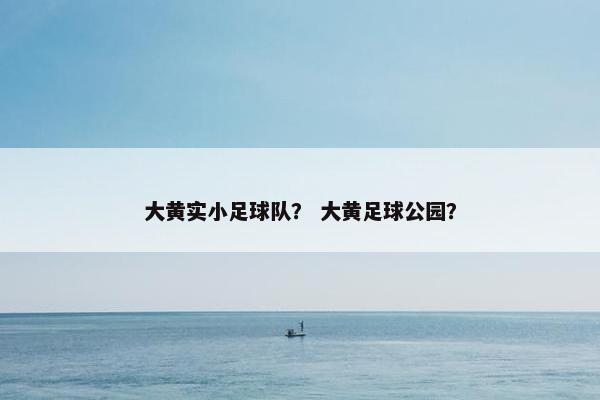 大黄实小足球队？ 大黄足球公园？