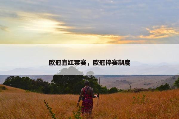 欧冠直红禁赛，欧冠停赛制度