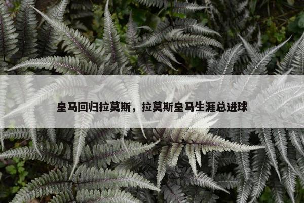 皇马回归拉莫斯，拉莫斯皇马生涯总进球